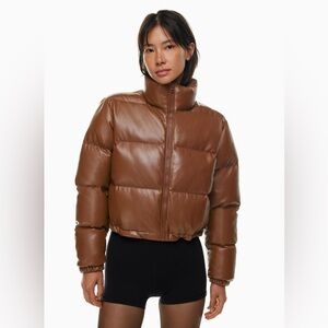 Aritzia Vista Puffer